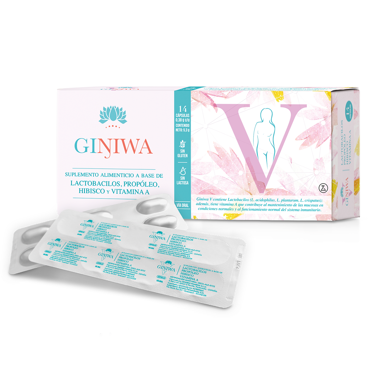 Giniwa V